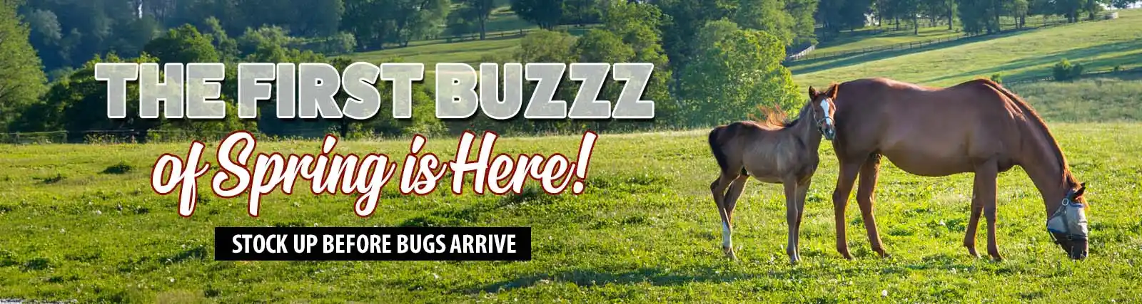 Welcome to Our Store